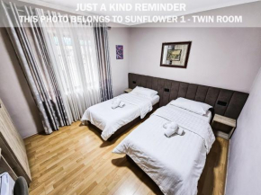 Sunflower Rooms